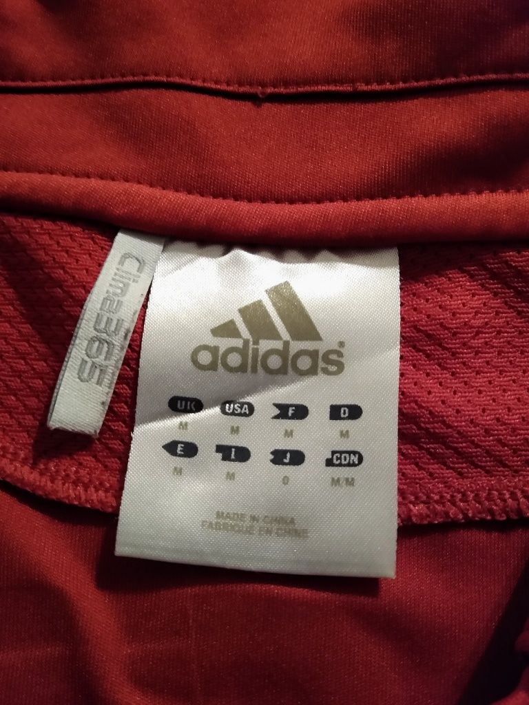 Koszulka Adidas Belgium roz.M