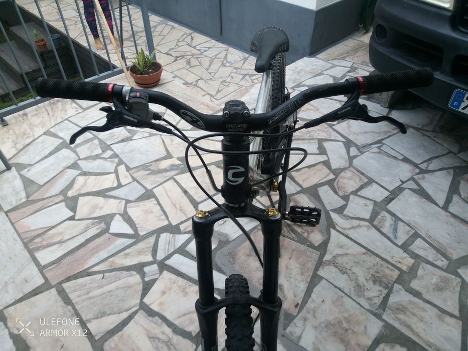 Cannondale Gemini team DH Siemens mobile