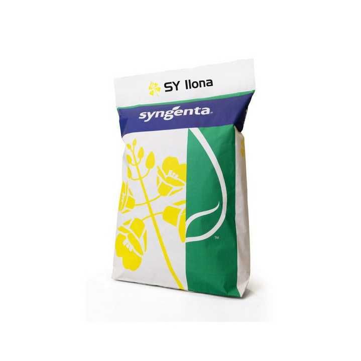 Rzepak ozimy Syngenta ILONA zaprawiany Buteo Start