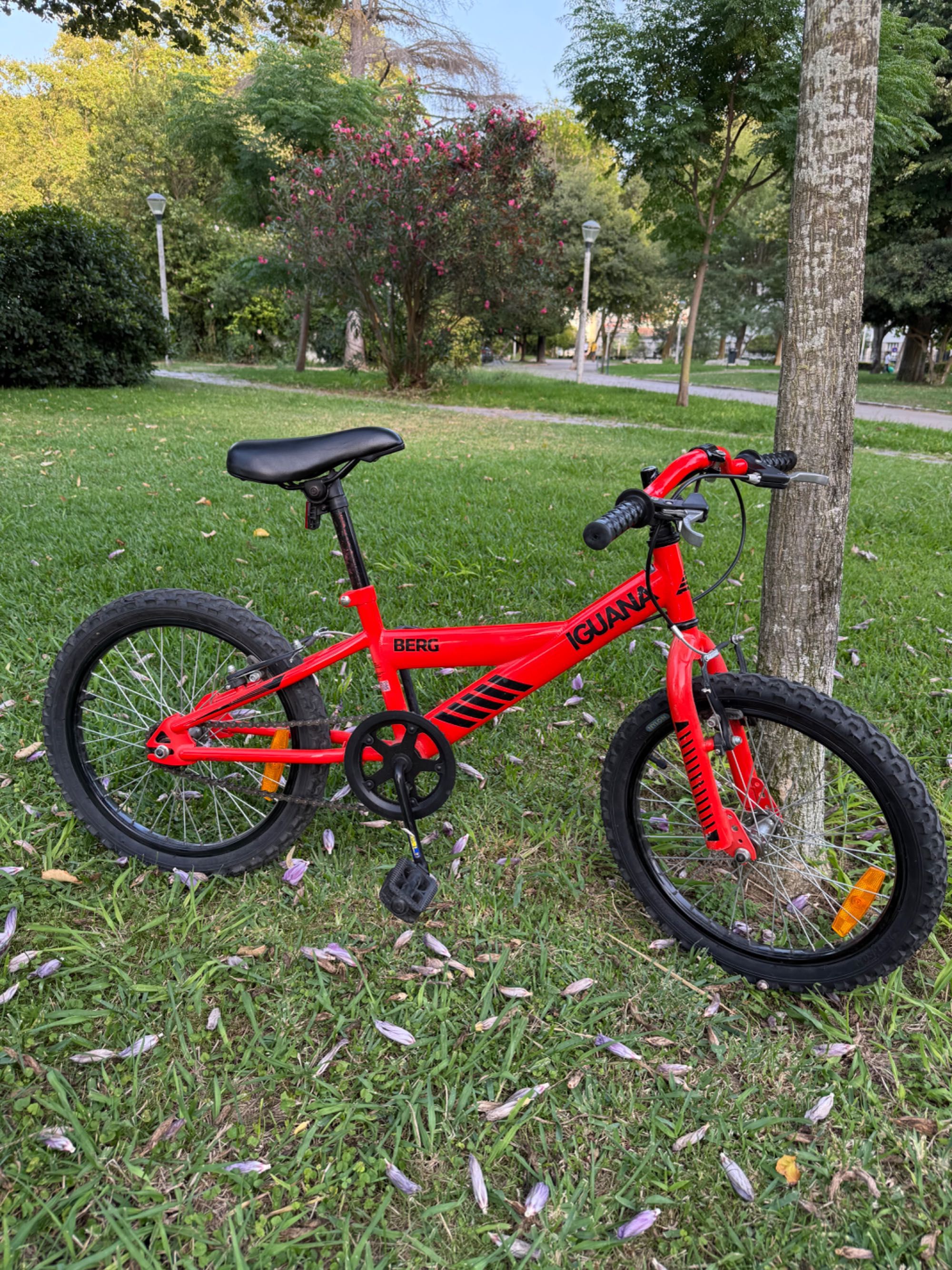 Bicicleta de criança