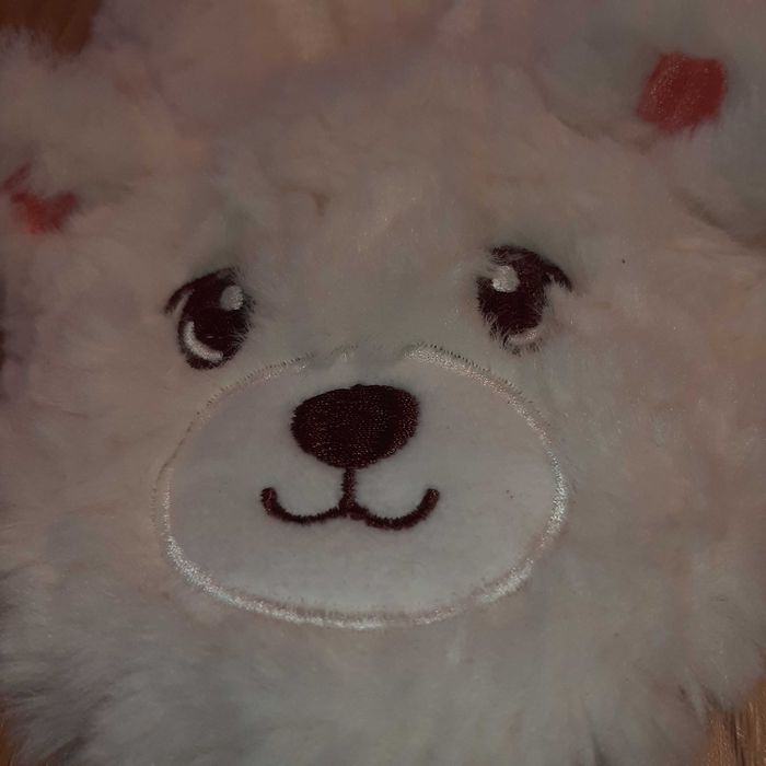 Pantufas Fofas e Quentes de Cãozinho Num. 36-37