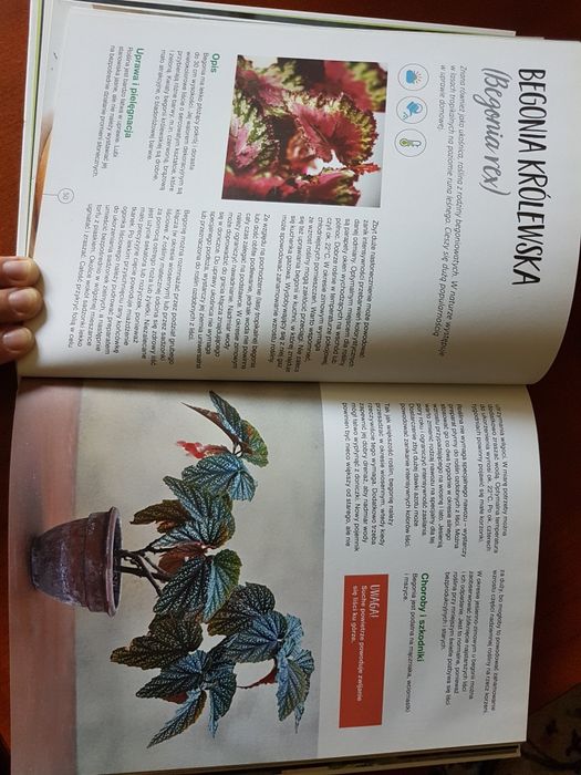 Filozofia wschodu dla Żółtodziobów - Jay Stevenson