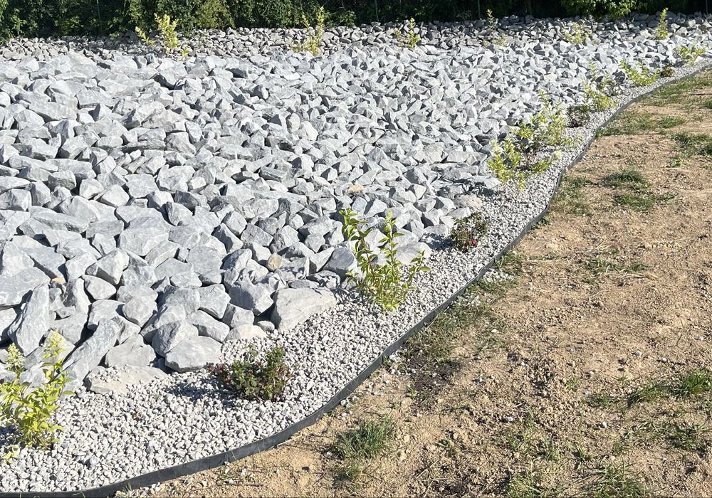 Uslugi ogrodnicze wycinka drzew