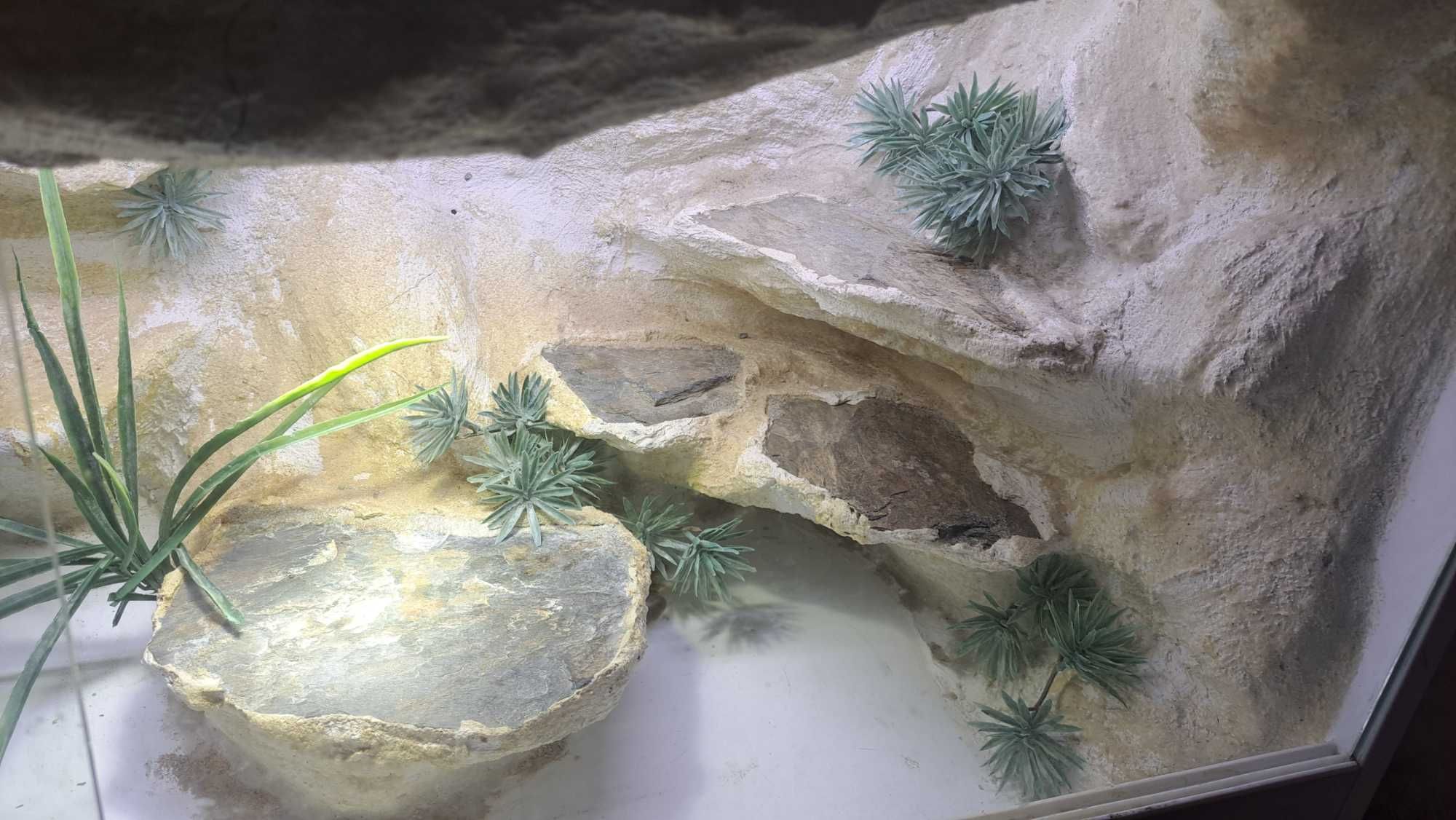 terrarium z tłem 3D – idealne dla agamy, gekona, węża i innych gadów
