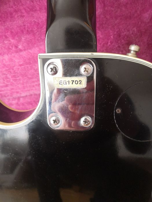 Salvarez les paul Standard