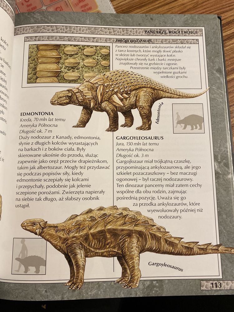 Encyklopedia Dinozaurów i innych zwierząt prehistorycznych J.Malam,