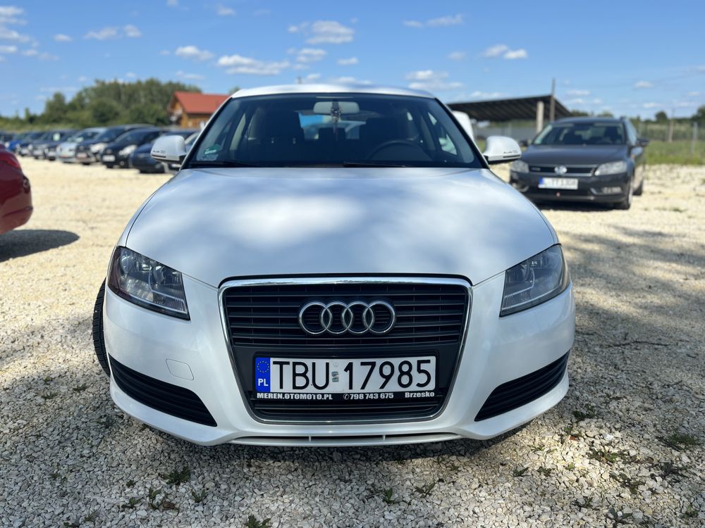 Audi A3 8P 1.6 MPI | 2009 | Bogate wyposazenie | Stan bardzo dobry