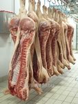 połtuszki wieprzowe kategoria S - zachęcamy do zakup