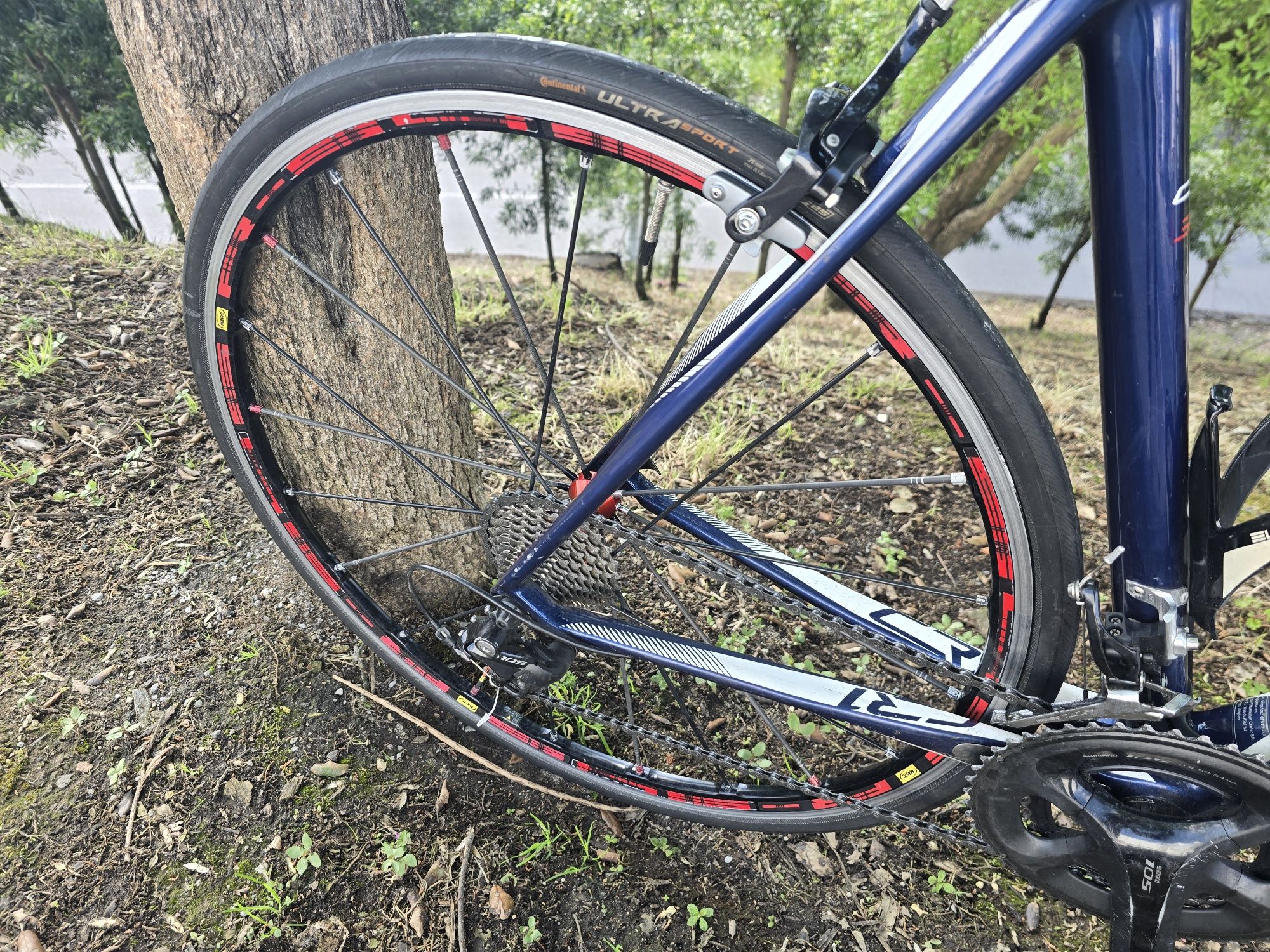 Rodas de estrada mavic r sys de topo