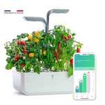 Horta Urbana Véritable® CLASSIC