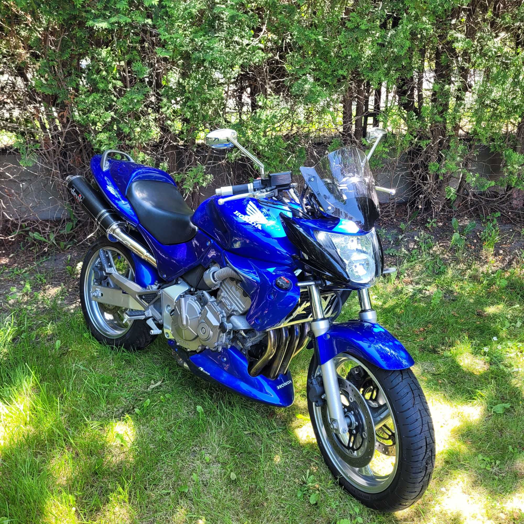Honda hornet 600 sprowadzona max tuning Devil carbon liść 29tkm cbr