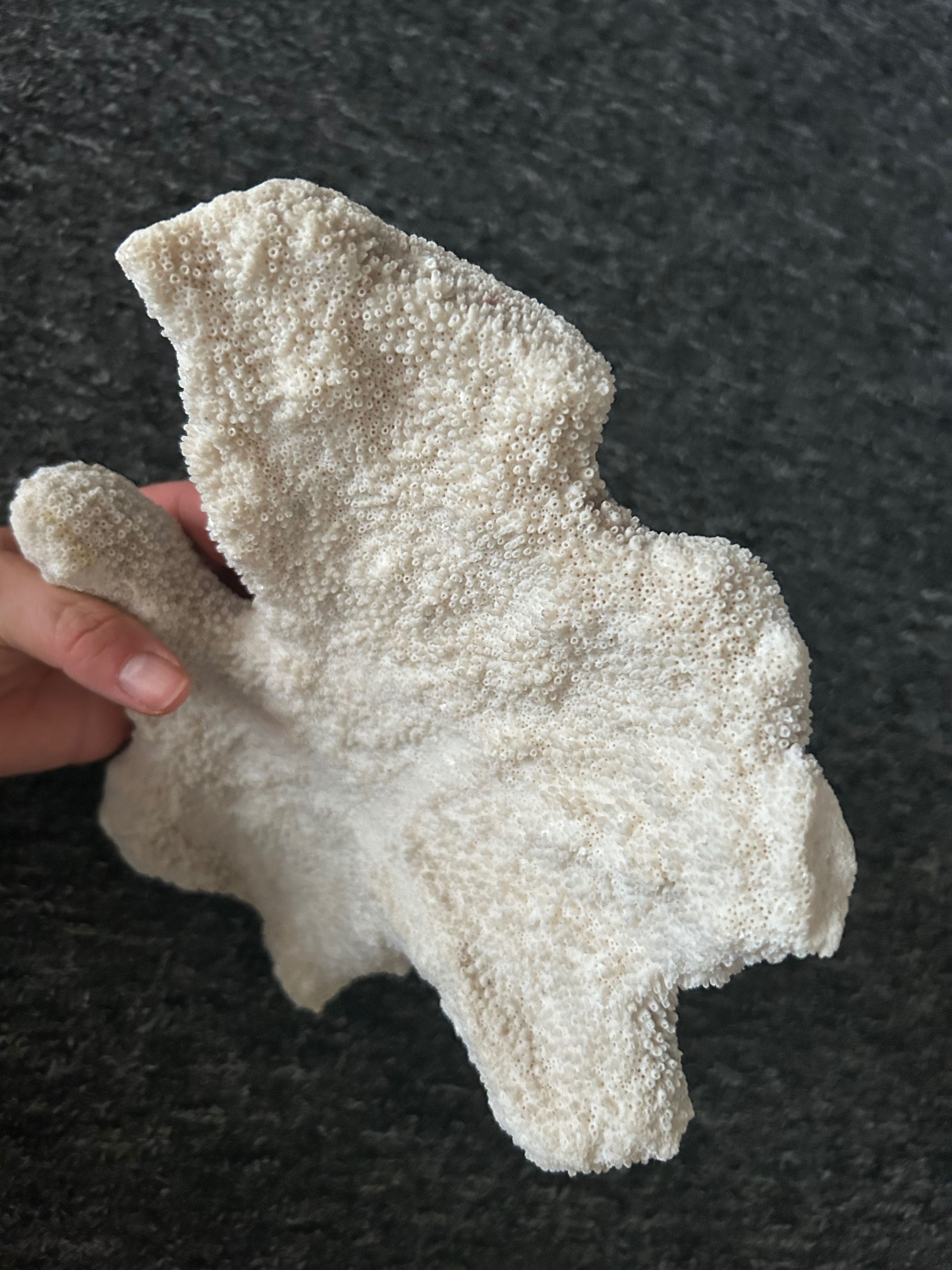Dekoracja akwariowa nr 04