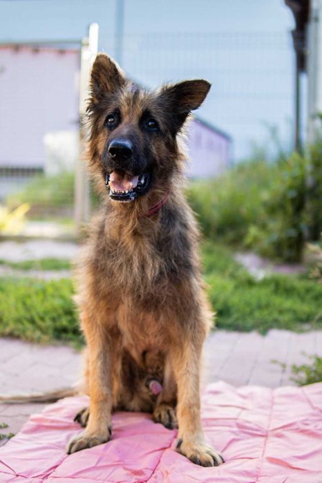 Laki wyrwany z piekła chce uwierzyć że może być dobrze