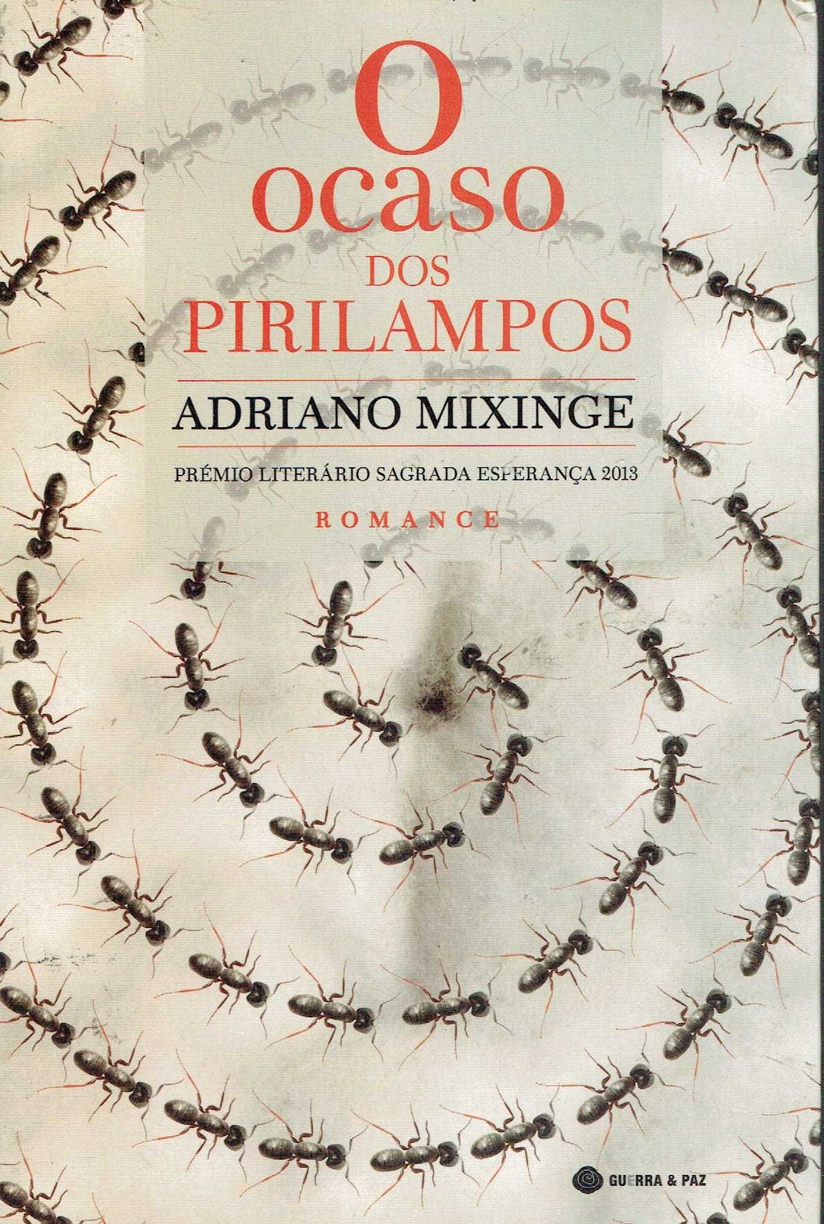 15205

O Ocaso dos Pirilampos
de Adriano Mixinge