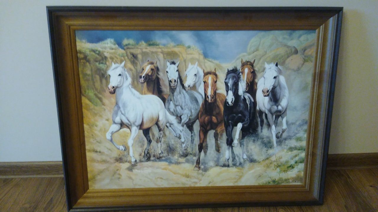 Obraz - stado koni