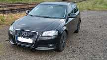 Audi A3 8P Quattro