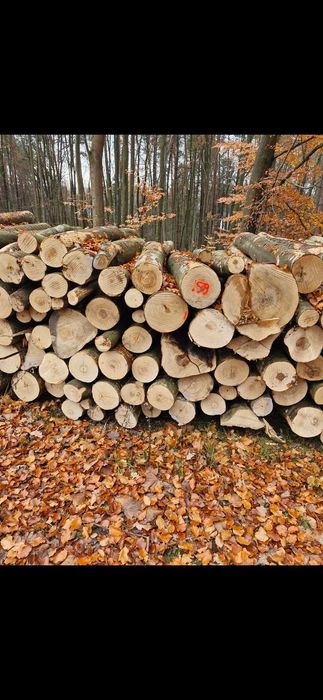 Drewno opałowe Kominkowe metry wałki do pieca