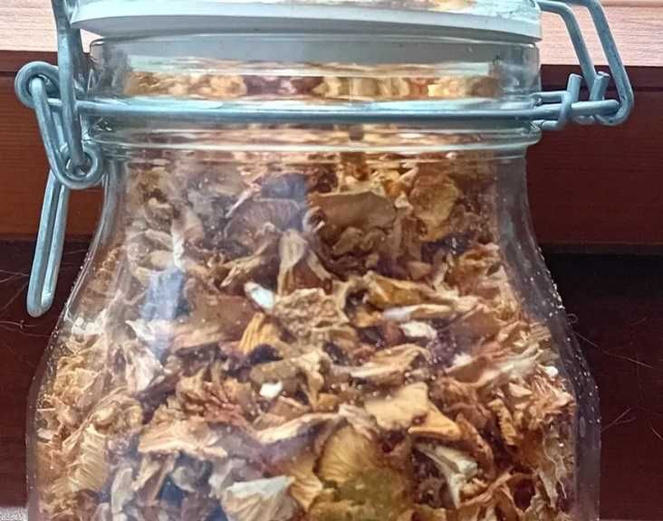 Grzyb Pieprznik jadalny Kurka suszona 400 gram