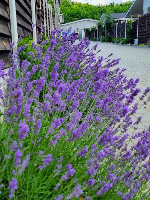 Будинок у котеджному містечку ЖК Данилівський 143 м. Сертифікат