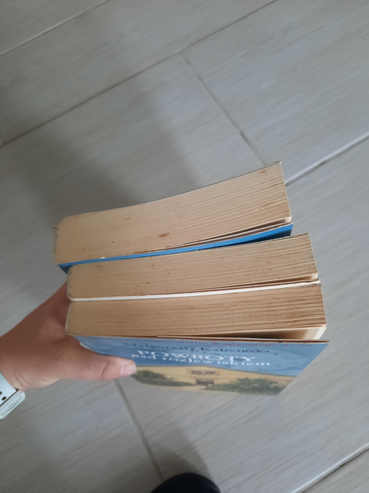 Trylogia Nad rozlewiskiem M. Kalicińska