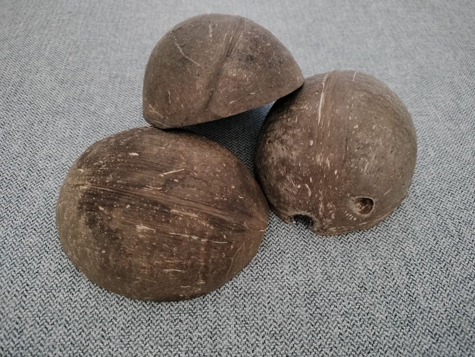 8 Metades de Coco Natural – Decoração, Artesanato ou Música