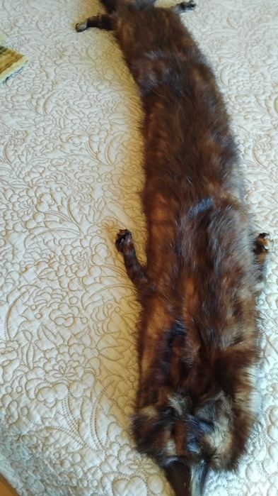 Estola echarpe gola pelo vison natural castanho