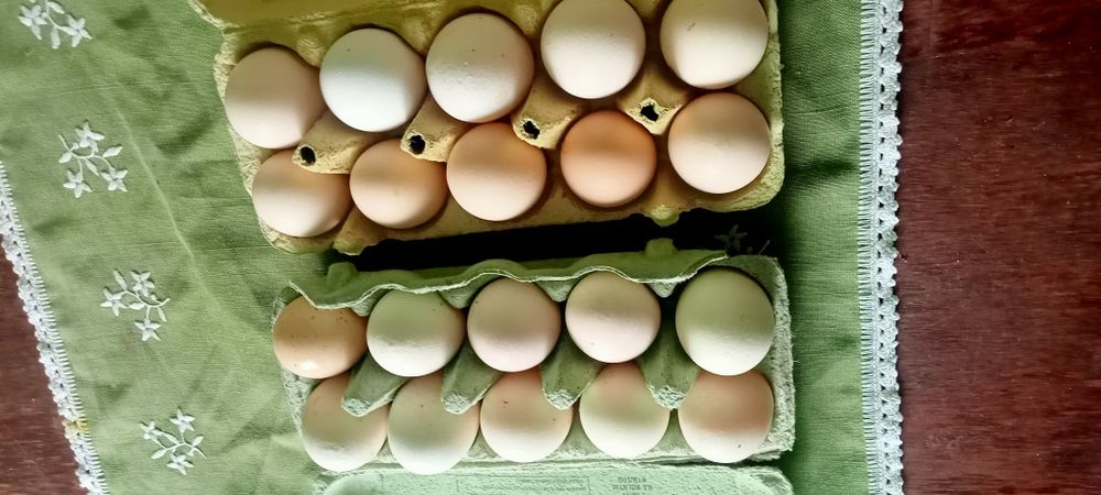 Jajka od wiejskich kurek zerówki