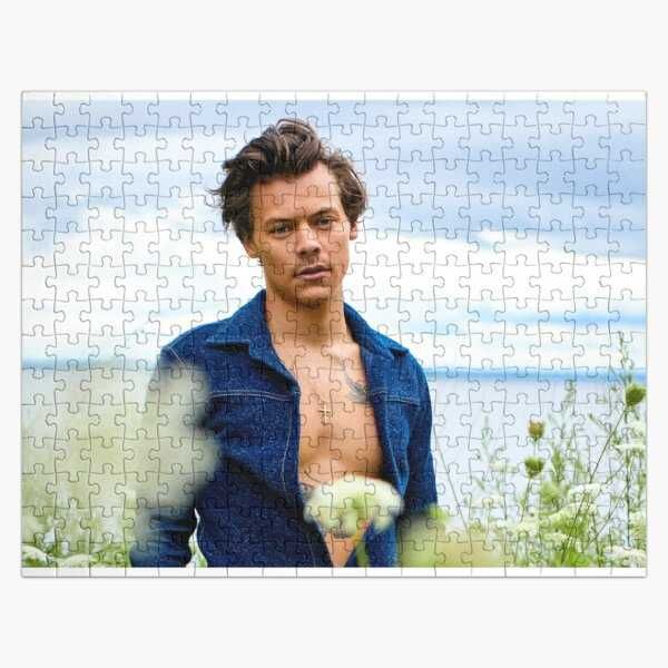 Puzzle DEPECHE MODE  Harry Styles  Michael Jackson  Taylor Swift