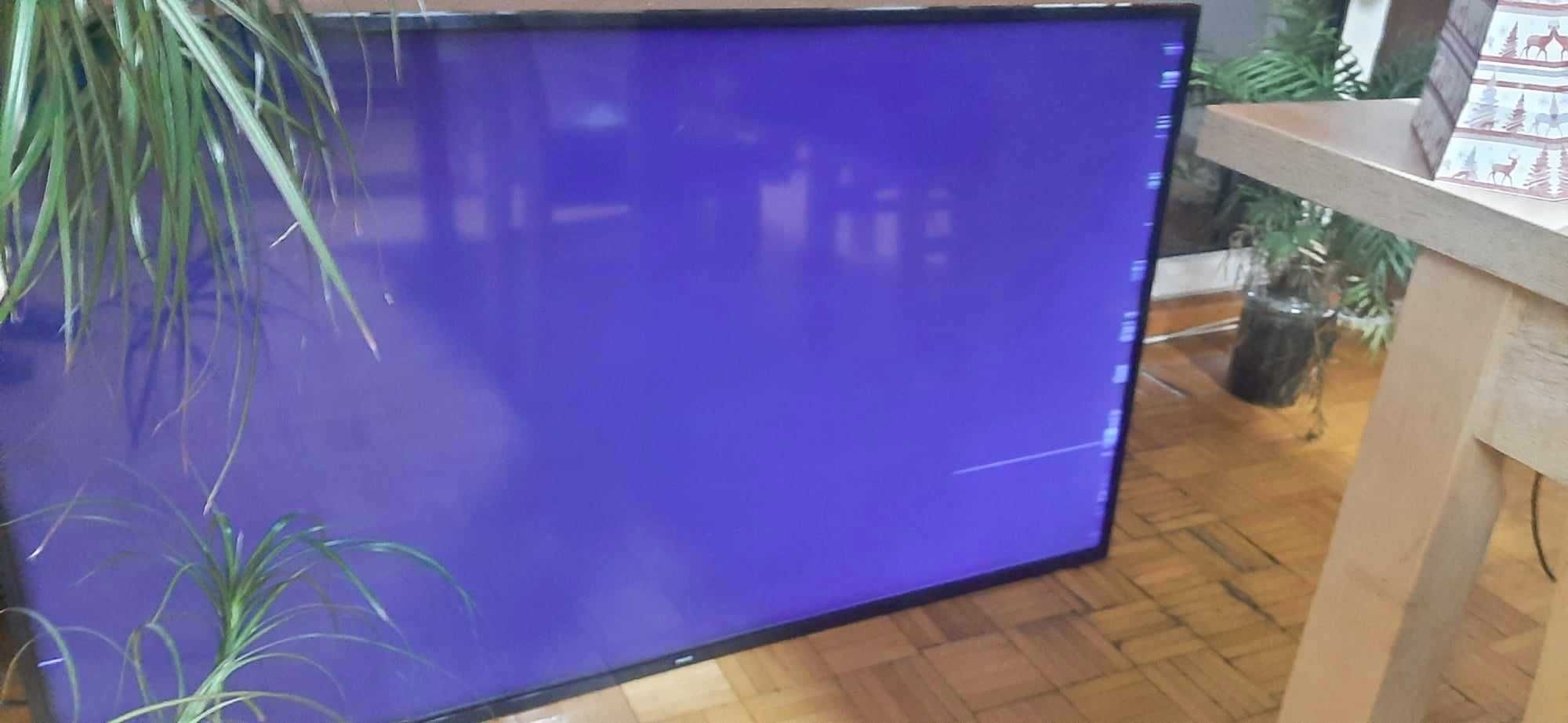 Philips 58PUS7505/12 -prawdopodobnie uszkodzona matrca