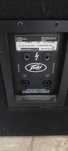 Kolumna glosnik peavey pro 15