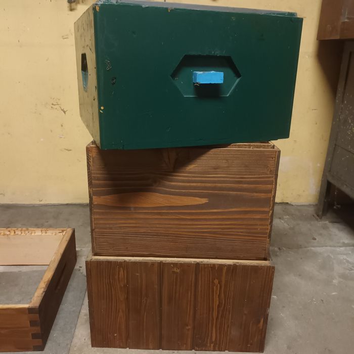 Korpusy wielkopolskie