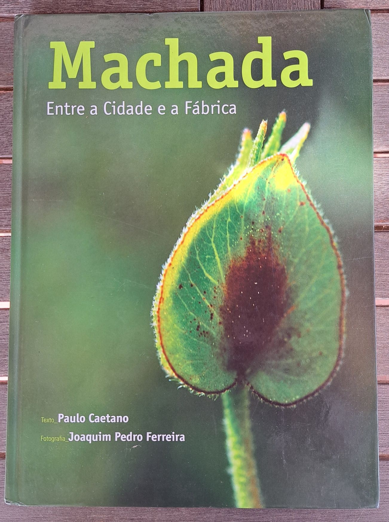 Livro Machada Entre a cidade e a fábrica