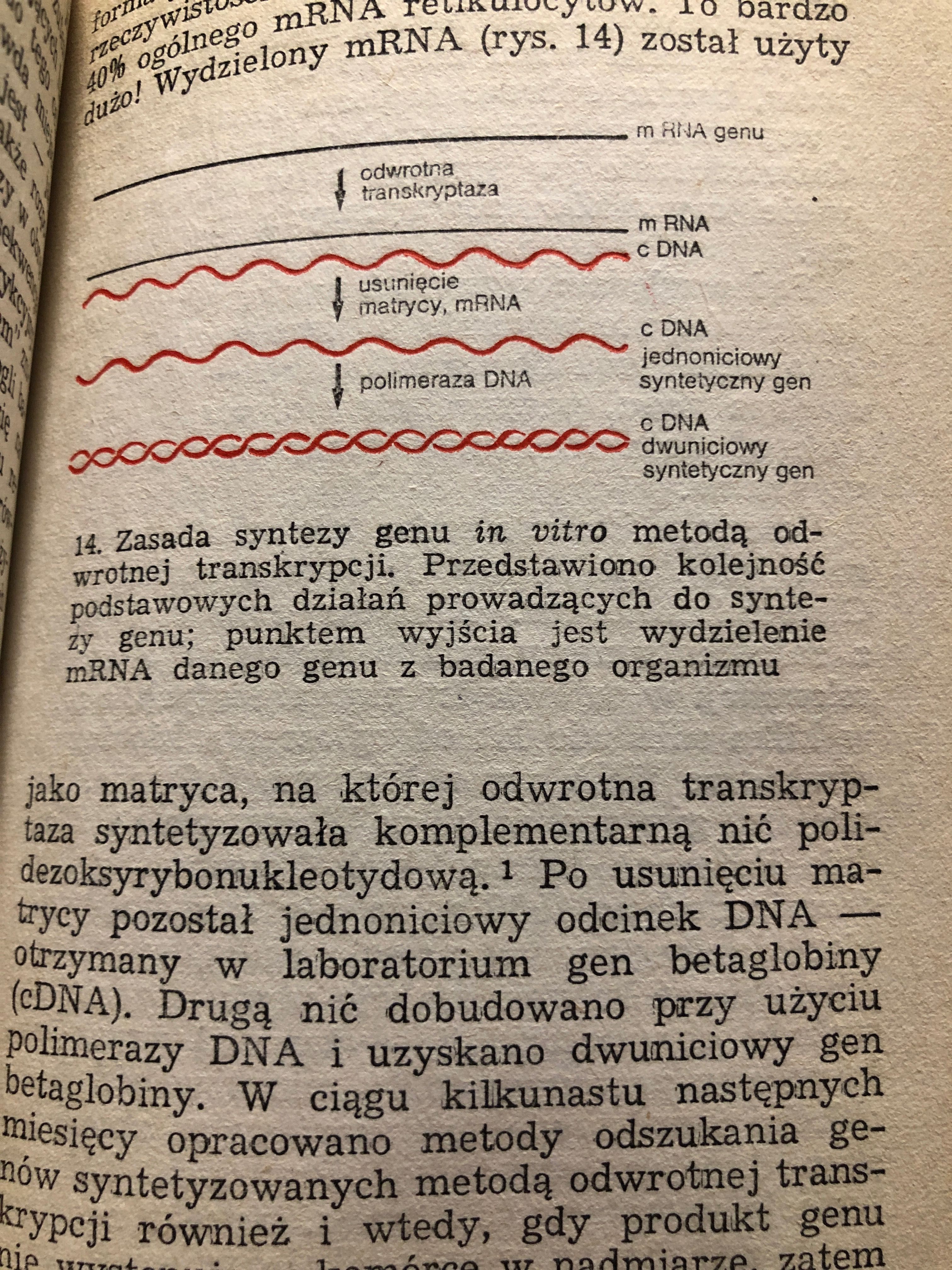 Inżynierowie żywych komórek. Magdalena Fikus