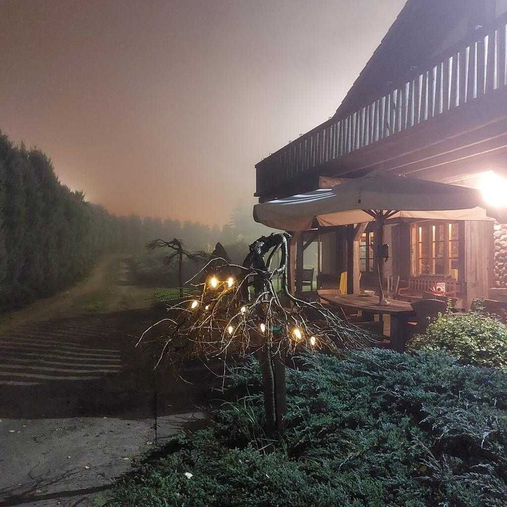 Działka z Charakterem obok S10.