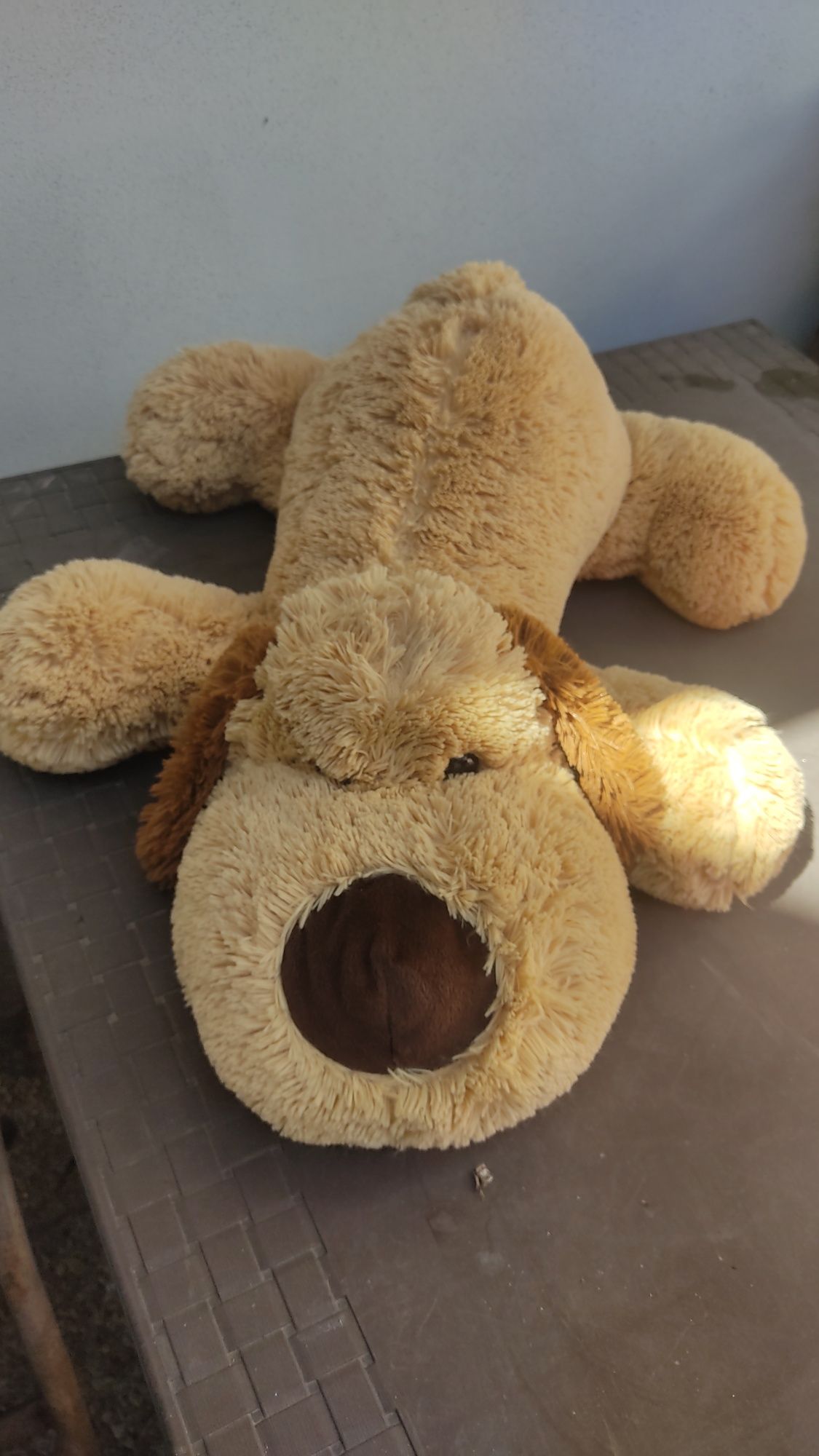 Peluche      cão