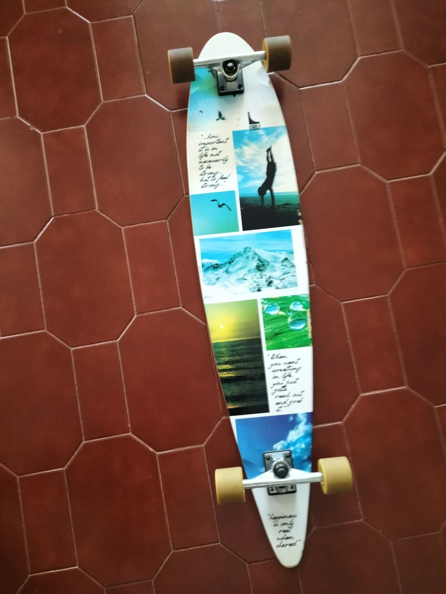 Skate longboard lobu