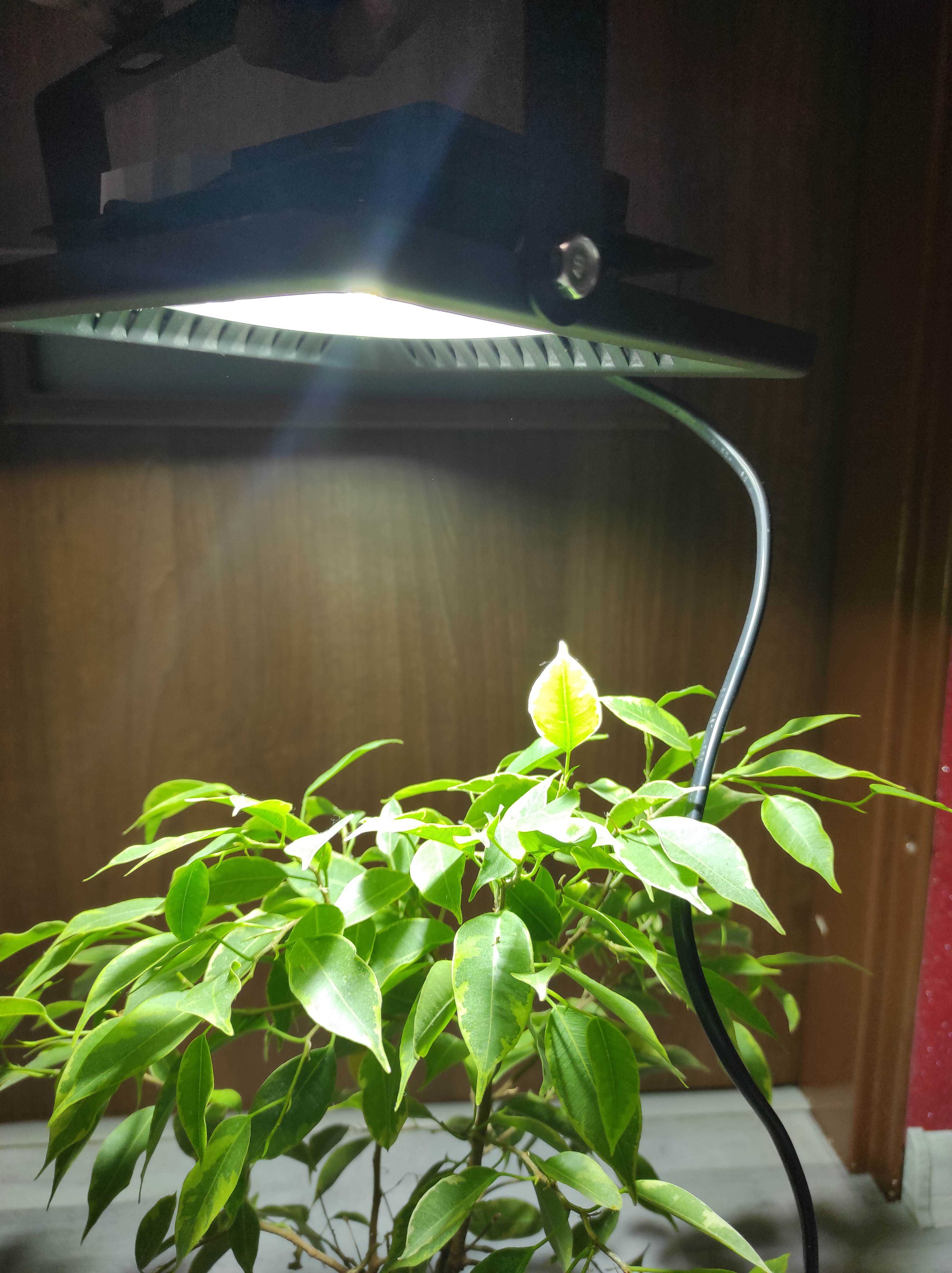 Panel biały LED - lampa COB GROW 30W - do uprawy roślin