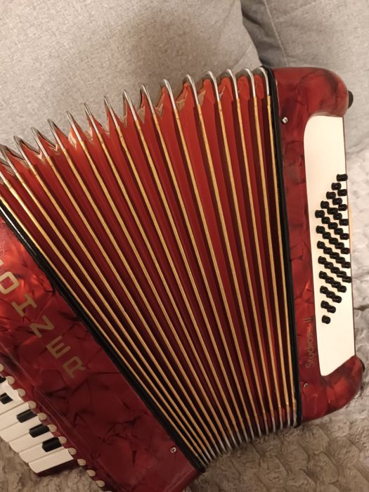 Akordeony z Dani.