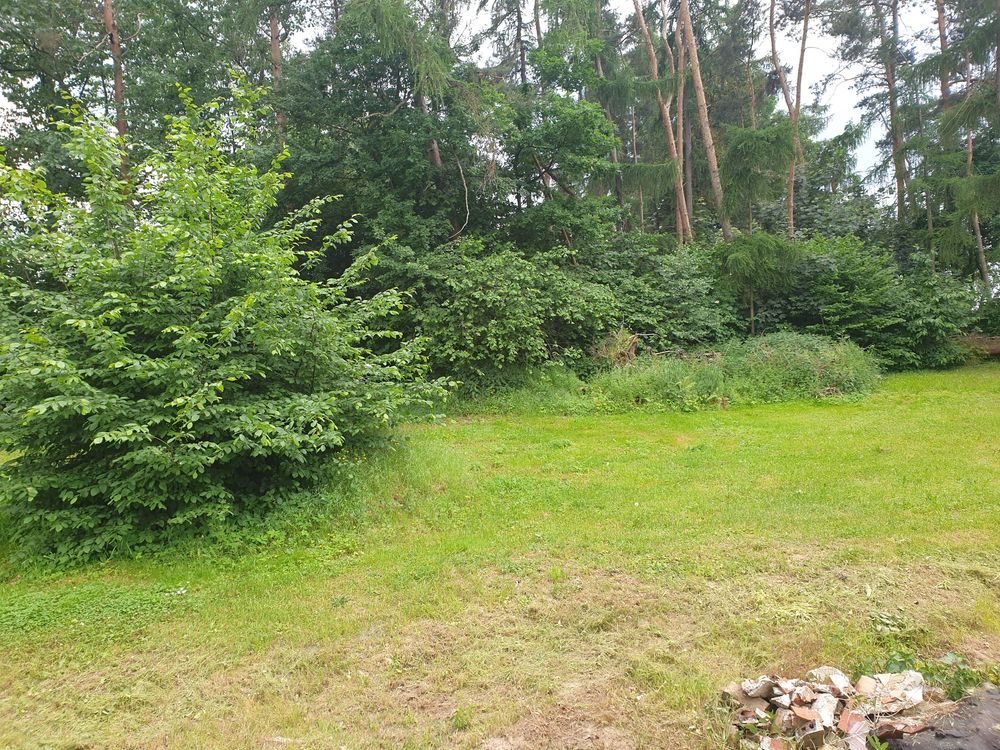 Działka budowlana w Kalinowicach (gm Strzelce Op.)