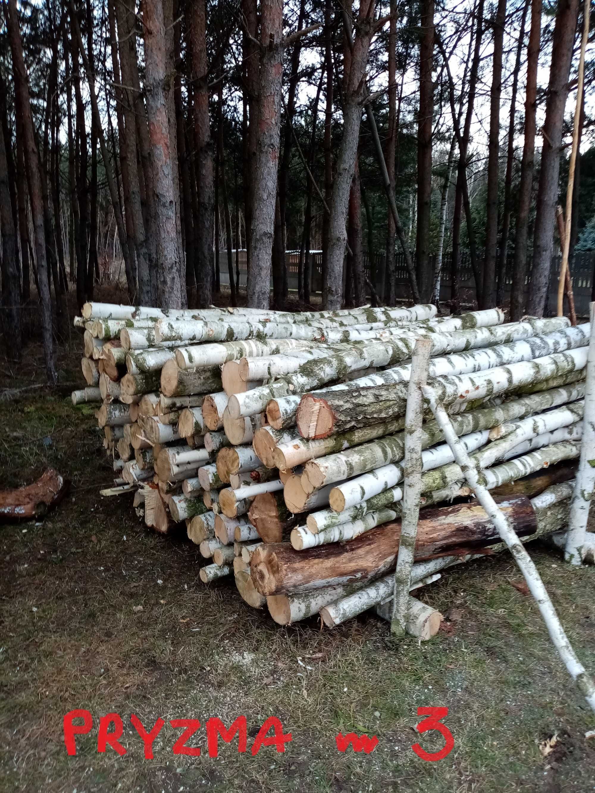 Drewno opałowe - brzoza