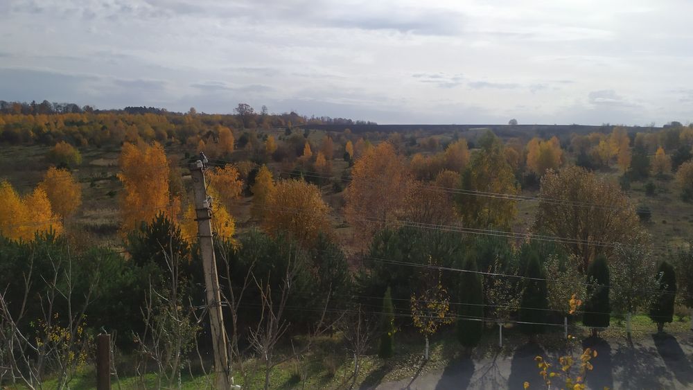 Продам будинок біля спорбази гарний краєвид.Навпроти Галицький ботаніч