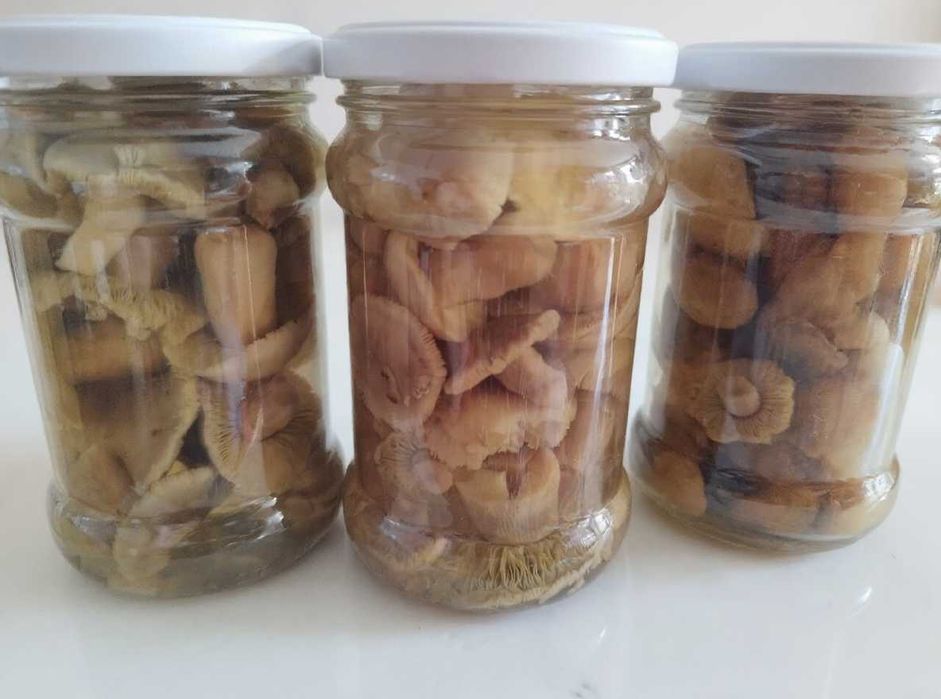 Grzyby marynowane prawdziwek, maślak, rydze, gąski, grzyby suszone