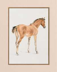 Plakat A3 Fanny's Colt - Obraz koń wydruk Tayler#1
