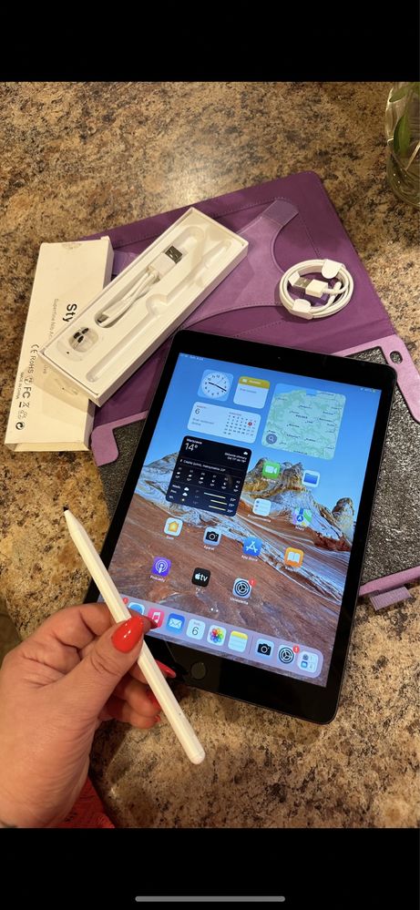 Tablet iPad Apple 10.5” —-iOS 18.5 — Touch ID - PROCREATE