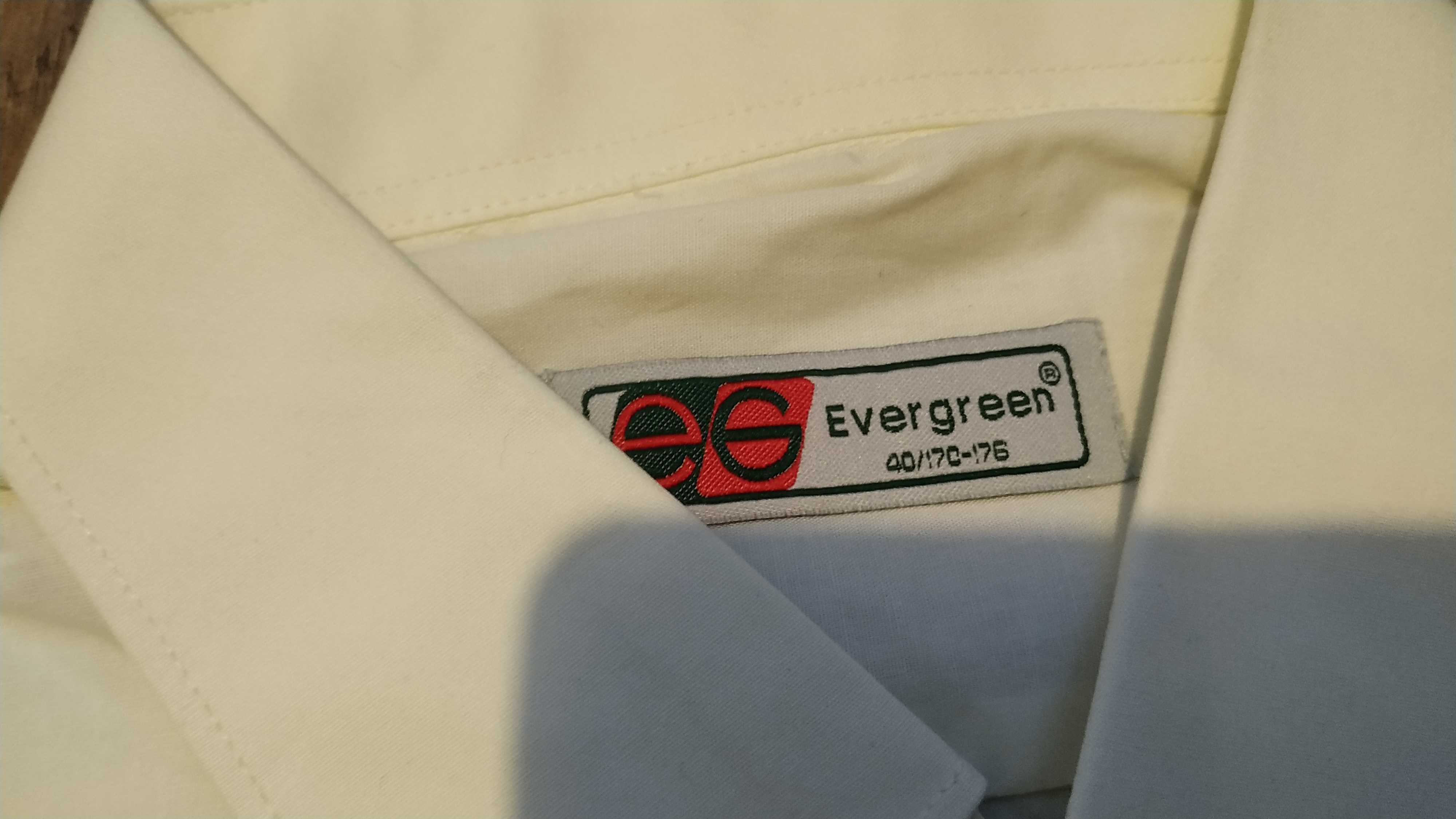 Koszula męska Evergreen 40/170-176
