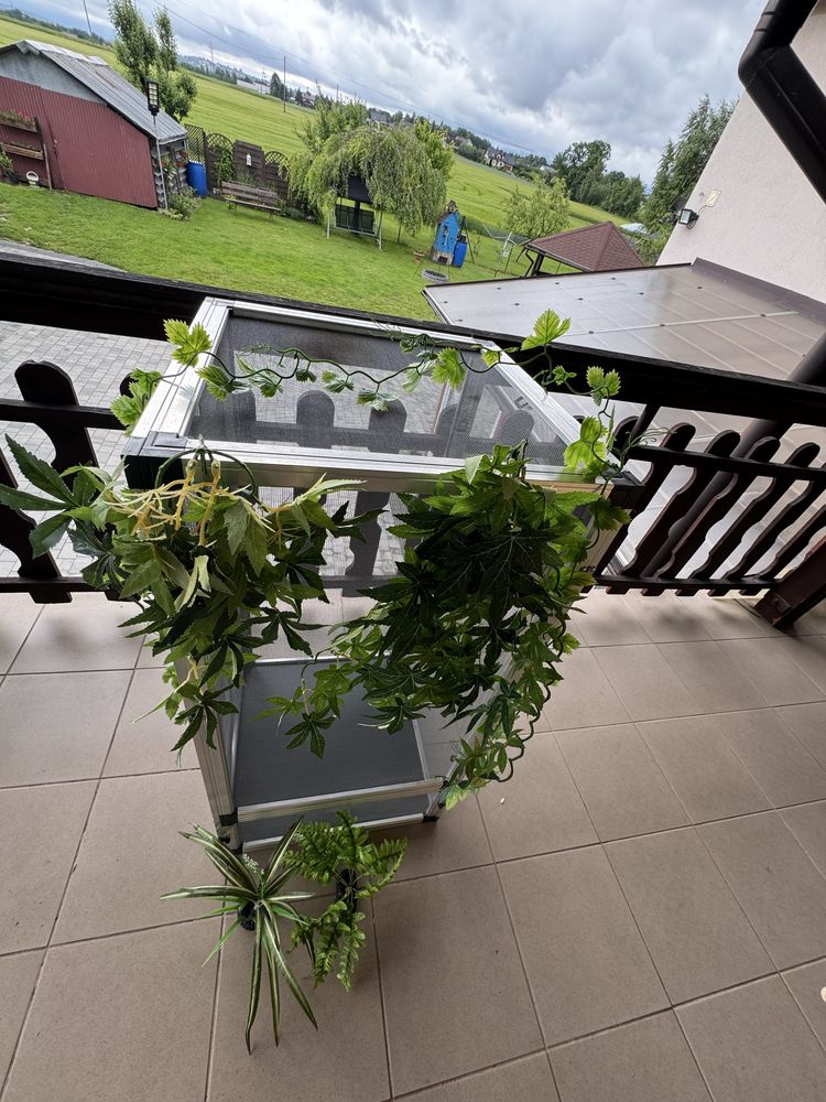 Terrarium siatkowe
