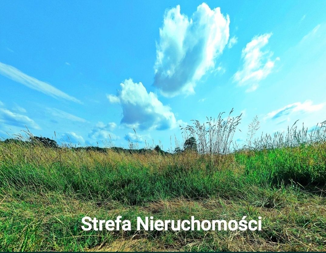 * Działka działki Rogoźna Żory 800 - 5000m2 wśród luźnej zabudowy *