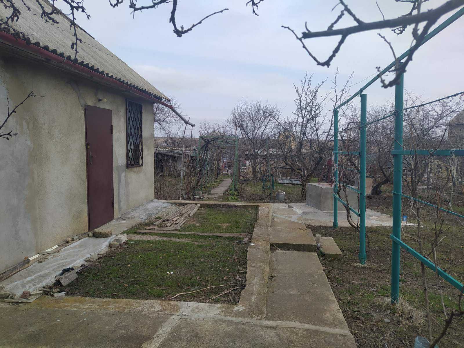 Новая цена Светлое, дачи, дача, возможно круглогодичное проживание.