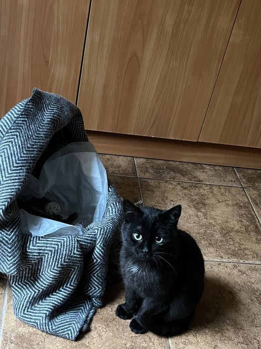 Темінь шукає дім