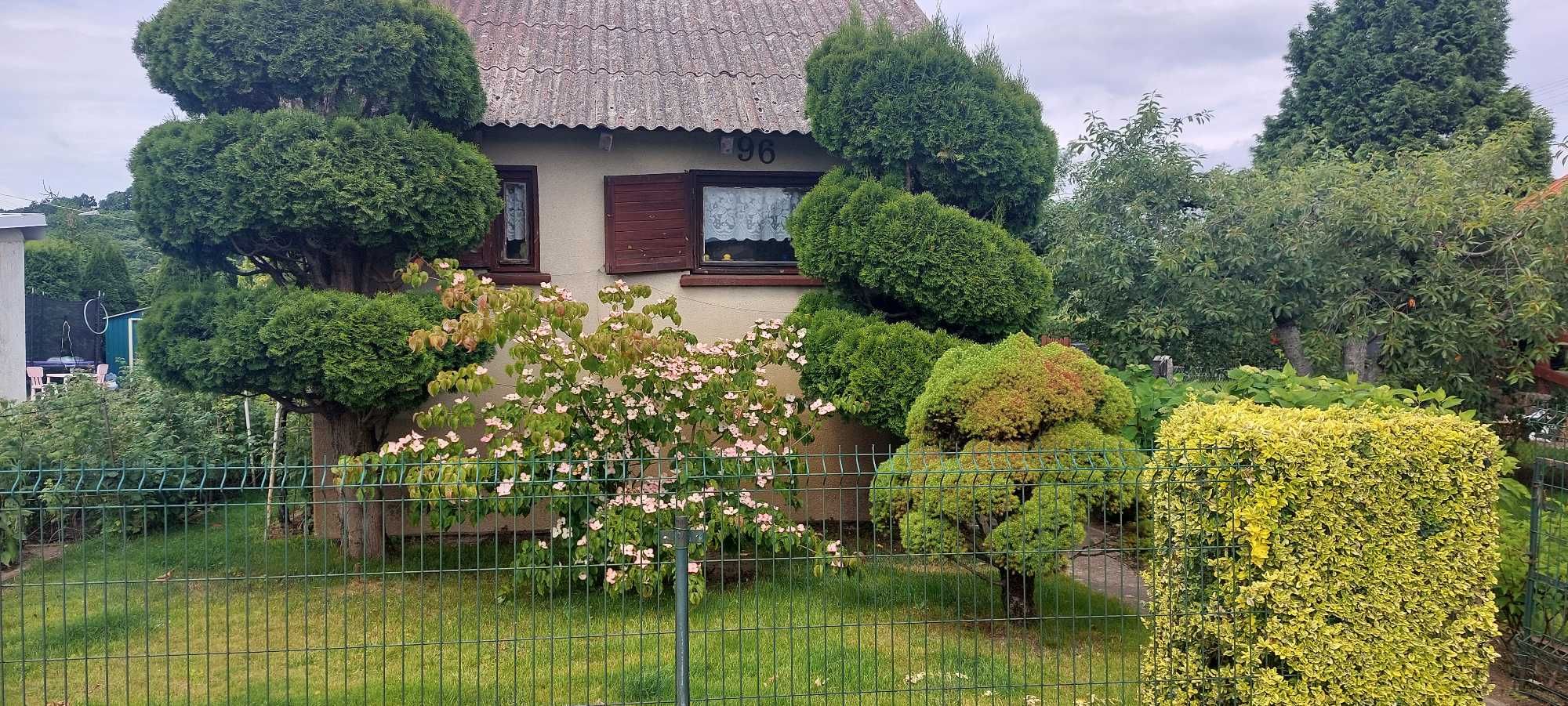 działka ROD Jarzębinka Koronowo